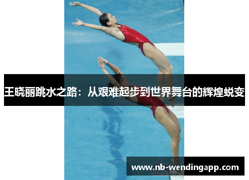 王晓丽跳水之路：从艰难起步到世界舞台的辉煌蜕变