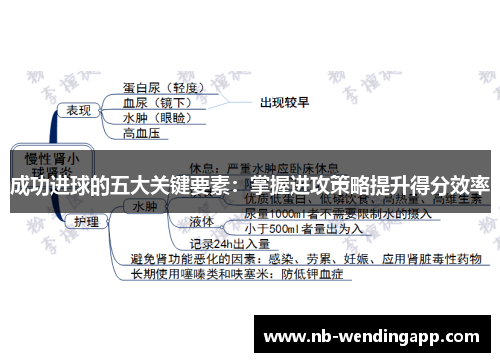 成功进球的五大关键要素：掌握进攻策略提升得分效率